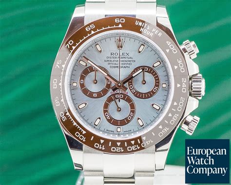 rolex daytona blue and brown.